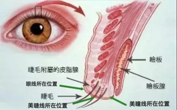 图片来源：作者