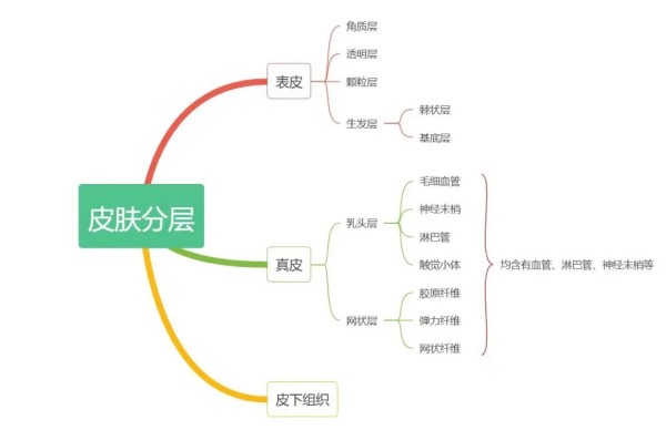 图片来源：作者