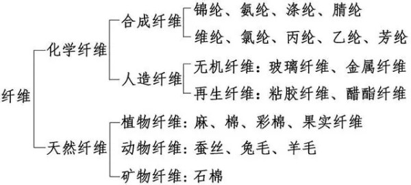 图片来源：作者