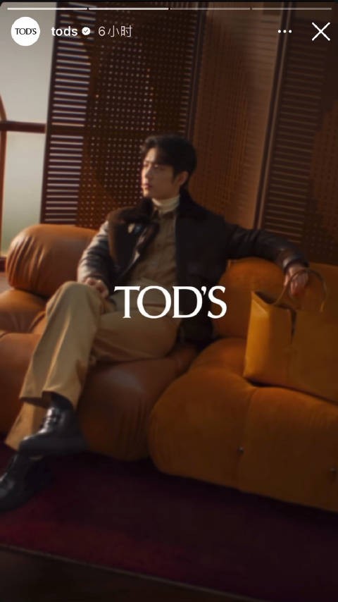 Tods IG~~国际巨星肖战在海外各平台继续刷脸…