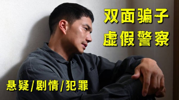 正义刑警化身欺诈师，专挑法律无法制裁的对象下手！