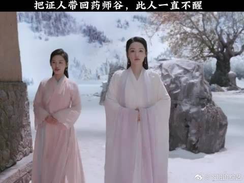 把证人带回药师谷，此人一直不醒