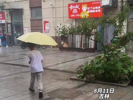 “他的到来让小狗的世界雨过天晴”