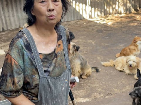 奶奶声音颤抖地说，她年岁已高，希望能将小院托付给年轻一代