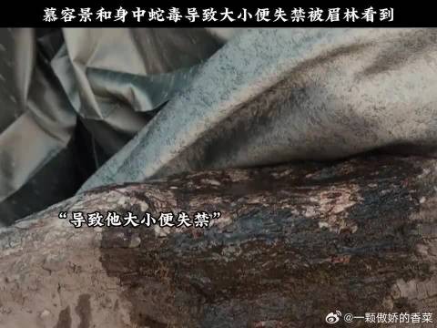 慕容景和身中蛇毒导致大小便失禁被眉林看到