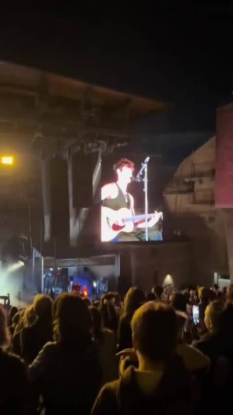 Shawn Mendes 刚刚在自己的小型演唱会上…