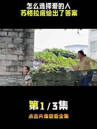 年少无知时，尝尽人间苦涩，如何挑选心爱之人，无论怎样选择都难免留下遗憾