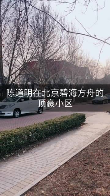 陈道明与葛优为邻，众多一线男明星齐聚的小区