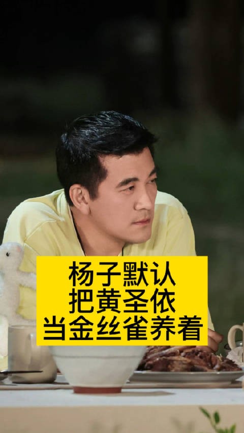 杨子默认把黄圣依当金丝雀养着向全世界安利吴清功杨子后悔参加再见爱人