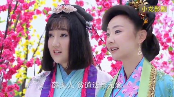 薛丁山下山意外救下樊梨花，从而得罪太子李承乾