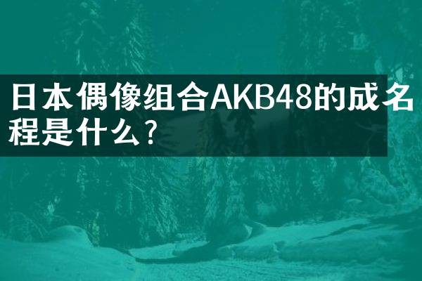 日本偶像组合AKB48的成名历程是什么？