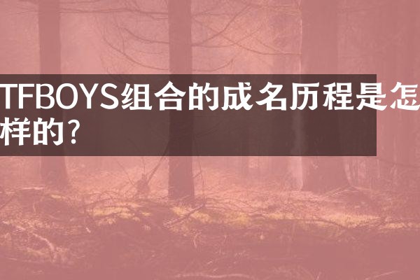 TFBOYS组合的成名历程是怎样的？