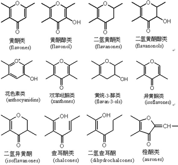 黄酮