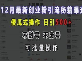 12月最新创业粉引流秘籍曝光 傻瓜式操作 日引500+ 不封号 不废号 可批量操作【揭秘】