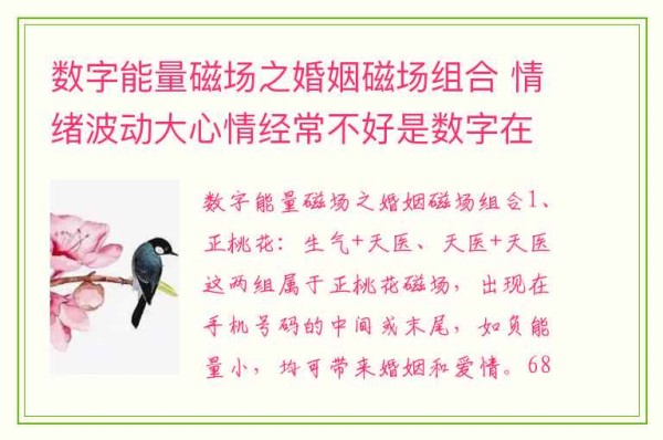 数字能量磁场之婚姻磁场组合 情绪波动大心情经常不好是数字在捣乱