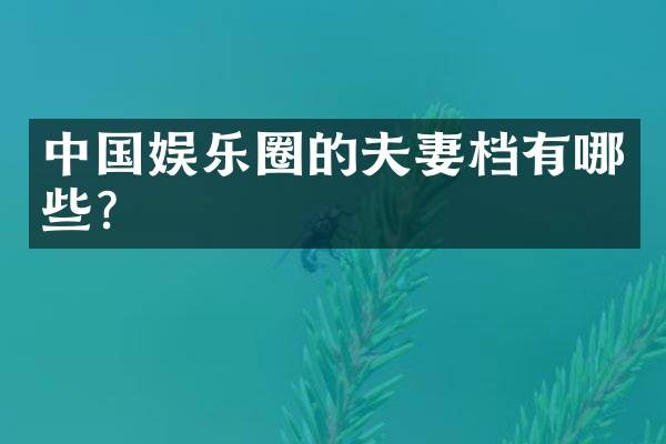 中国娱乐圈的夫妻档有哪些？