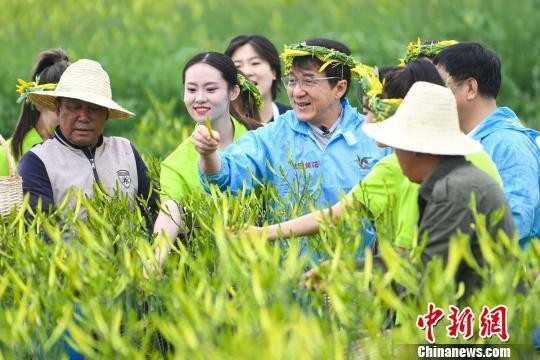 岳云鹏变身吃播，成龙代言黄花…明星扶贫带货，你买吗？