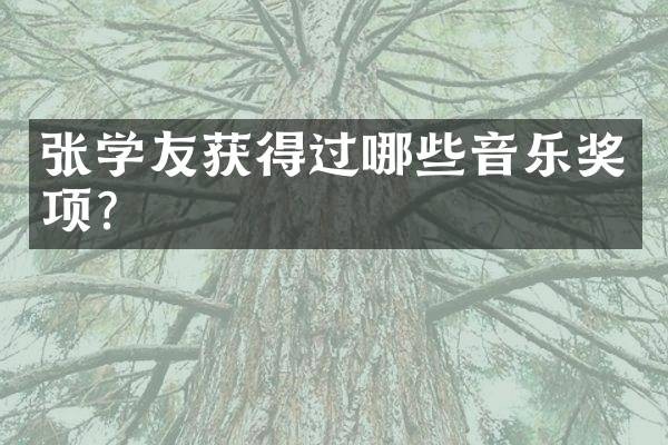 张学友获得过哪些音乐奖项？