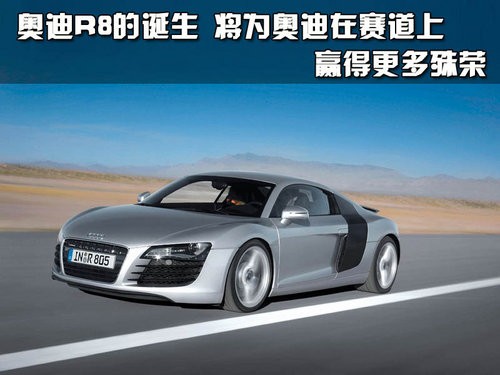 奥迪(进口) R8