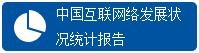 中国互联网络发展状况统计报告