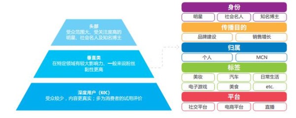 微播易, 《中国KOL市场营销白皮书洞察报告》2021六大新媒体平台KOL分布详解