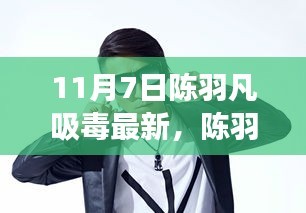 陈羽凡吸毒事件最新进展深度解析，全面评测与深度探讨（11月7日更新）