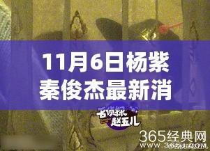 杨紫秦俊杰最新动态深度解析，特性、体验、竞品对比及用户群体分析报告