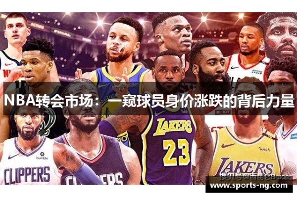 NBA转会市场：一窥球员身价涨跌的背后力量