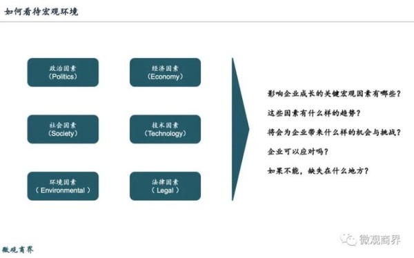 微观_商界, 战略分析，绘出企业的前行地图