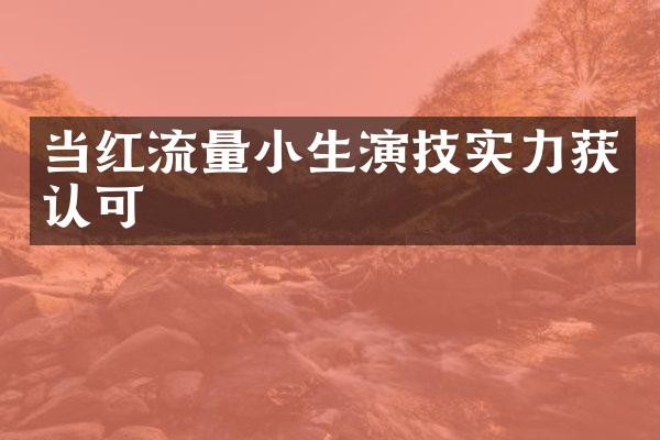 当红流量小生演技实力获认可