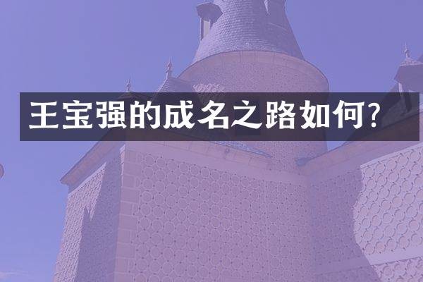 王宝强的成名之路如何？