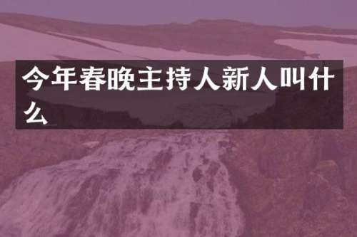 今年主持人新人叫什么