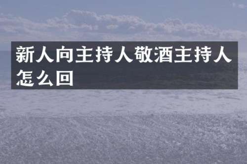 新人向主持人敬酒主持人怎么回