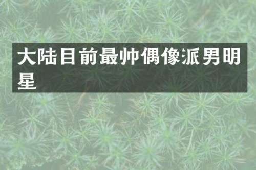 大陆目前最帅偶像派男明星