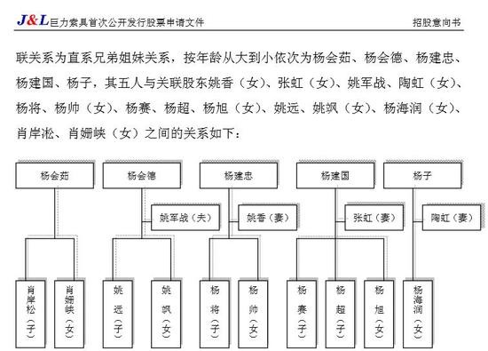 2010年的招股意向书