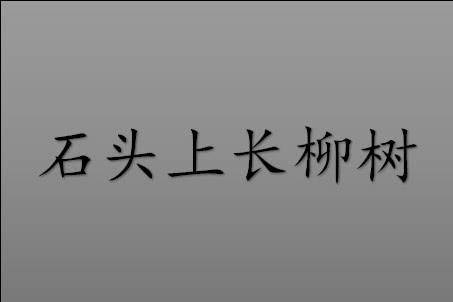 超难！看题猜明星，你能答对几个？