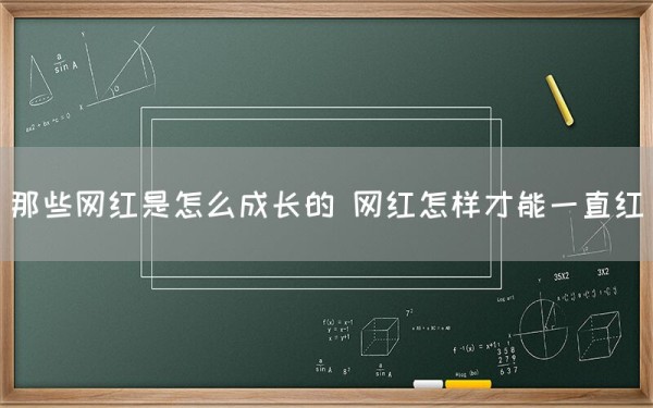 那些网红是怎么成长的 网红怎样才能一直红(图1)