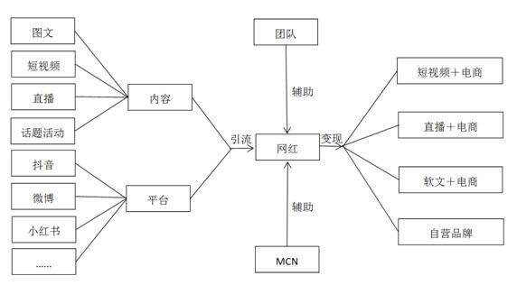 图1 网红营销运营模式图