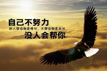 关于职场的励志人生格言（精选30句职场励志工作奋进人生格言）