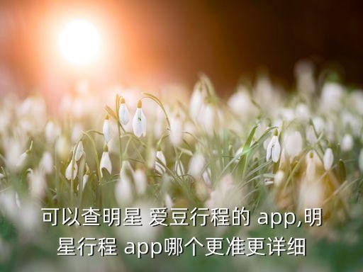 可以查明星 爱豆行程的 app,明星行程 app哪个更准更详细