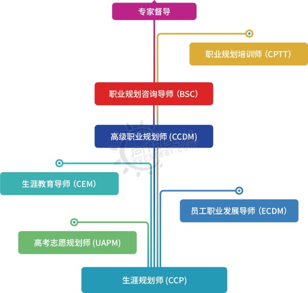 向阳生涯专业进阶体系