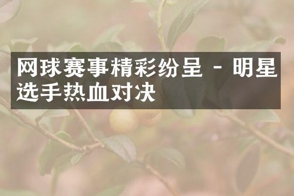 网球赛事精彩纷呈 - 明星选手热血对决