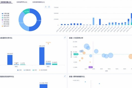 花火在线数据可视化，点亮商业发展的明星之道