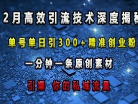 最新高效引流技术深度揭秘 ，单号单日引300+精准创业粉，一分钟一条原创素材，引爆你的私域流量