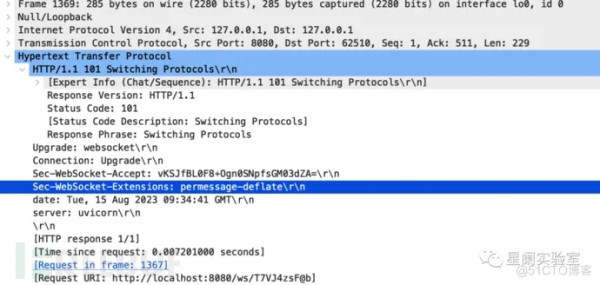 解密与探究：理解WebSocket协议与报文格式_数据_03