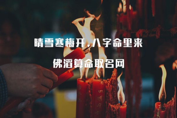 佛滔算命网