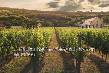 2、新晋白酒企业该如何在市场中有所表现？如何应对同级别的竞争者？