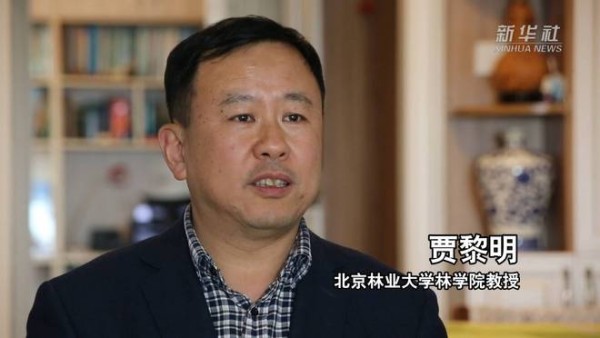 林长制 森林草原的“专属守护者”