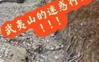 爬山时总能见到的“小棍撑山”有什么说法？