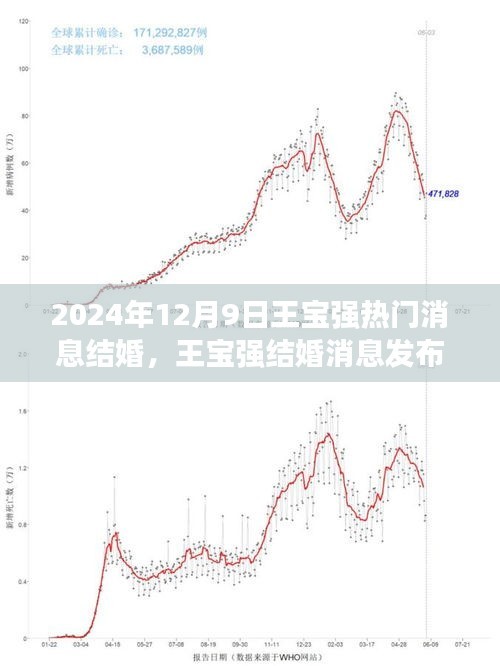 王宝强结婚消息全程见证，从关注到幸福的参与之路（2024年12月9日）